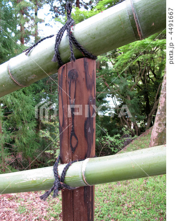 竹垣／防護柵（縦位置） 4491667