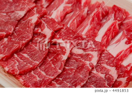 牛肉 4491853