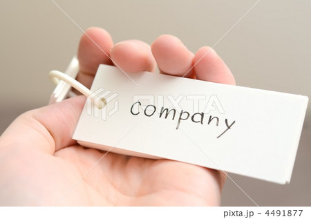 単語カード 単語カード 4491877