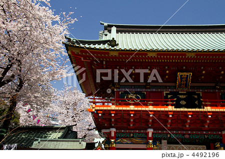 神田明神と桜 4492196