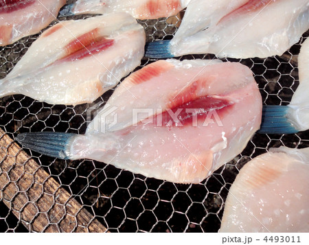 ハギの干物 ハギの干物 4493011