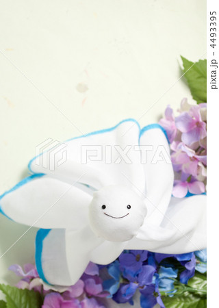 梅雨イメージ 梅雨イメージ 4493395