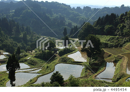 新潟県十日町市松代・蒲生の棚田 4495454
