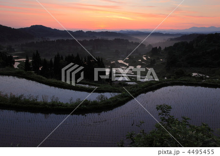 新潟県十日町市松代・夜明けの星峠の棚田 4495455