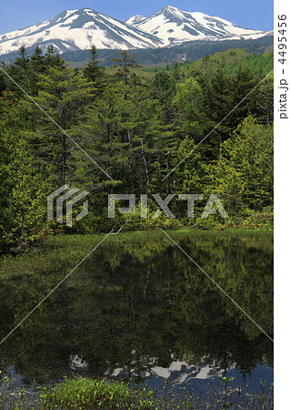 乗鞍高原・牛留池と乗鞍岳 4495456