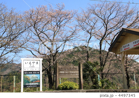 家山駅の風景 家山駅の風景 4497345