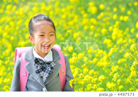 新一年生の女の子（菜の花畑） 4497573