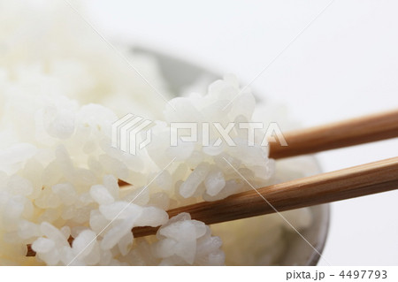 ごはん 4497793