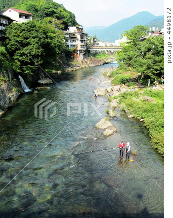 郡上八幡　清流　吉田川 4498172