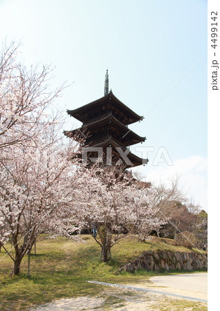 国指定重要文化財　備中国分寺 4499142