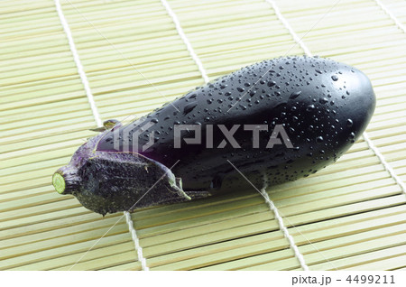 茄子 4499211