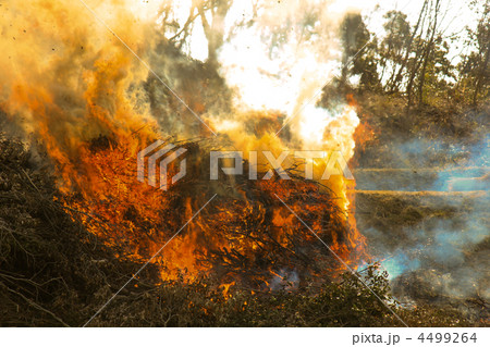 野焼き／農家（横位置） 4499264
