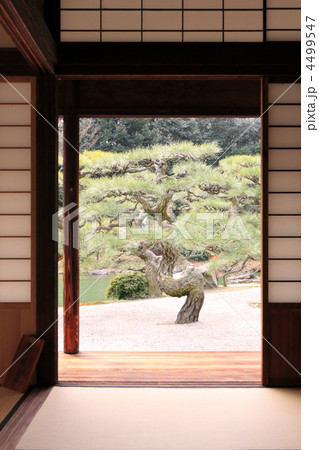 栗林公園、掬月亭、掬月からの眺め 4499547