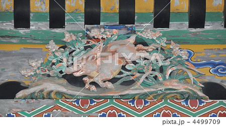 少彦名神社　立川流干支彫刻 4499709