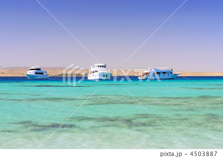 The white Yacht in the Red Sea. Egypt. 4503887