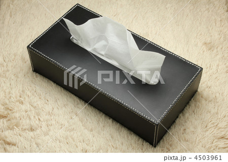 ティッシュ ティッシュ 4503961