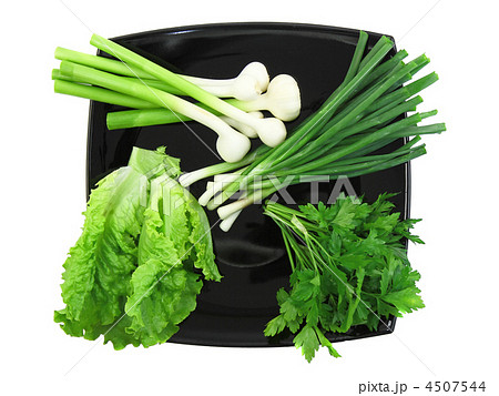 Young onion, garlic and letucce. Isolated. 4507544