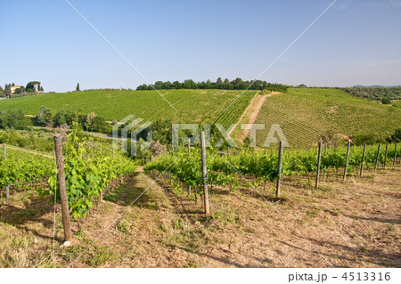 Typical Tuscan landscape Typical Tuscan landscape 4513316