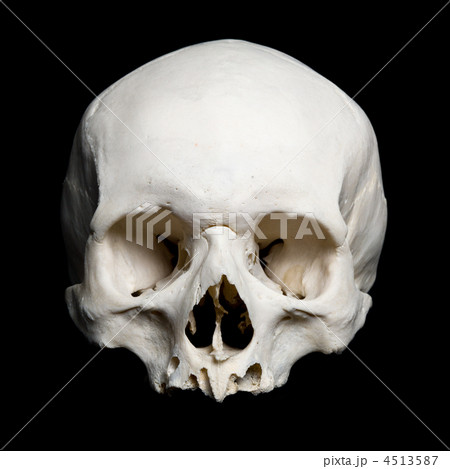 Upper half of the real human Skull 4513587