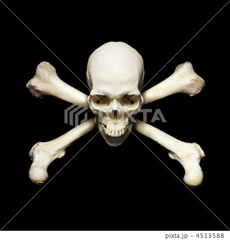 Pirate simbol Pirate simbol 4513588