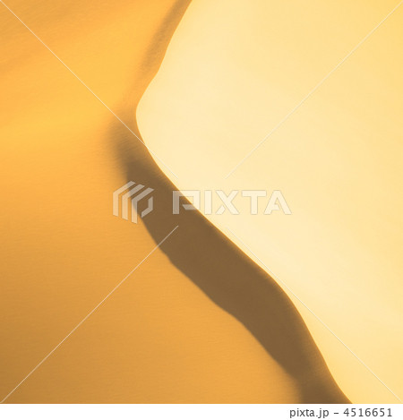 highly detailed texture of sand dunes 4516651