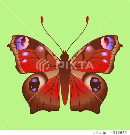 butterfly 4516679