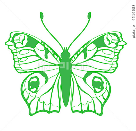 butterfly butterfly 4516688