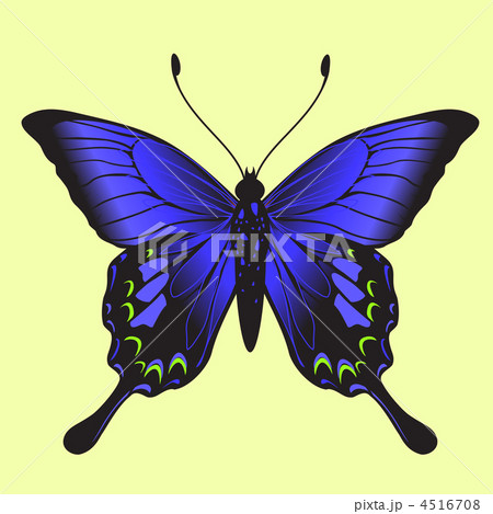butterfly 4516708