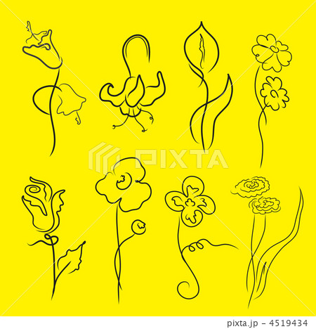 flowers Design Set flowers Design Set 4519434