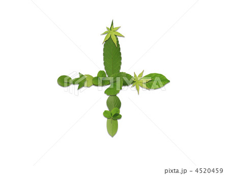 葉っぱの記号 4520459