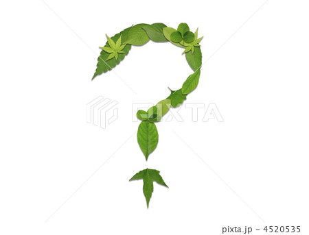 葉っぱの記号 4520535