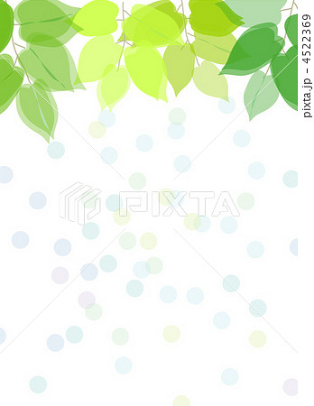 新緑 新緑 4522369