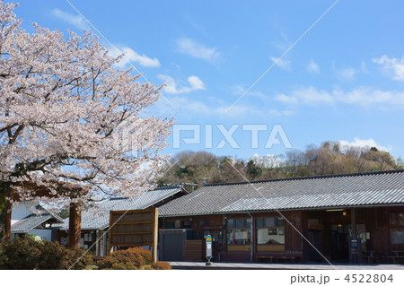 桜と駅 4522804
