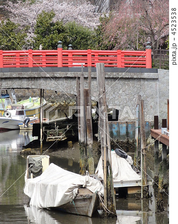 佃小橋を望む 4523538