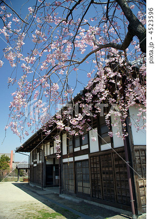 長屋門としだれ桜 4523596