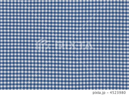 ギンガムチェック ギンガムチェック 4523980