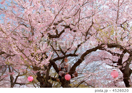 烏帽子山公園 烏帽子山公園 4526020