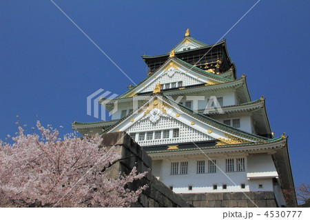 大阪城　桜　花見 4530777