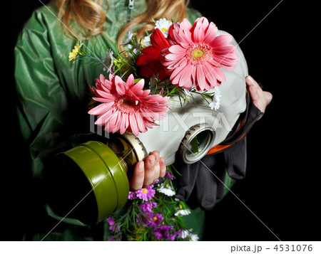 Female hands holding  gas mask . 4531076
