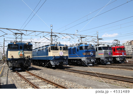 ブルートレイン　EF651011 EF65-1000 Late Type (J.R.) (Model Train) - HobbySearch Model