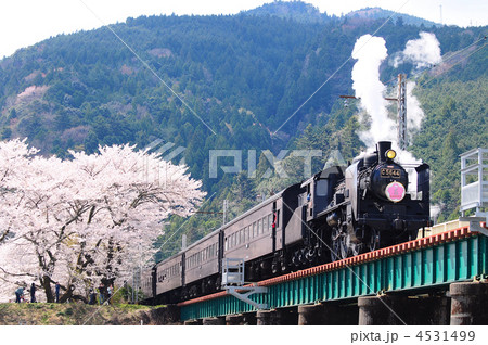 大井川鉄道のSLと桜 大井川鉄道のSLと桜 4531499