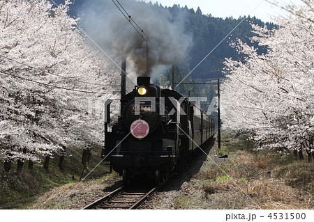 大井川鉄道　Ｃ５６　４４号機牽引の旧型客車列車 4531500