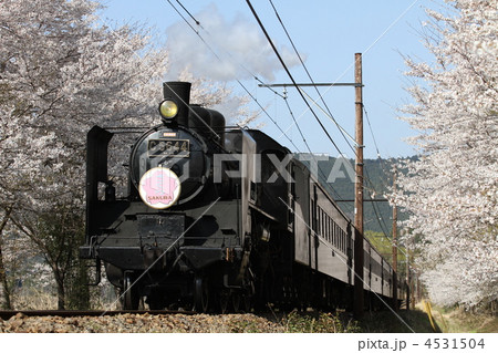 大井川鉄道　Ｃ５６　４４号機牽引の旧型客車列車 4531504