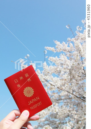 パスポート 旅券 (男性 出張 旅行 新生活 海外 日本 桜 さくら サクラ 春) 4531960
