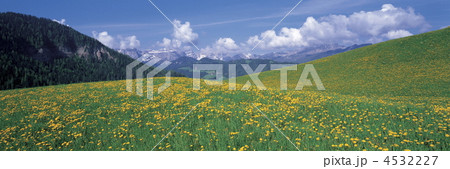 ウエンゲン村 4532227