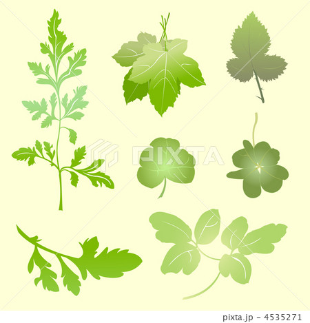 plants silhouettes plants silhouettes 4535271