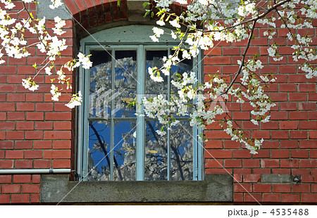 王子散歩・赤レンガ酒造工場 4535488