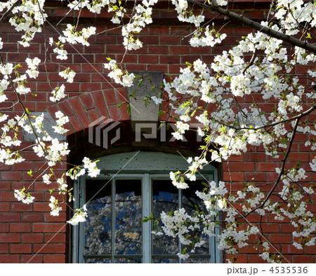 王子散歩・赤レンガ酒造工場 4535536