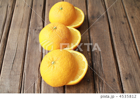 一列に並べた駿河甘夏　ハーフカット 4535812