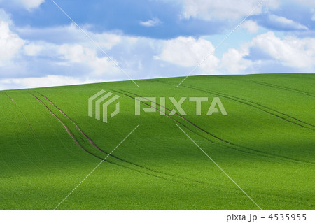 green field 4535955